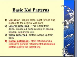basicpatterns