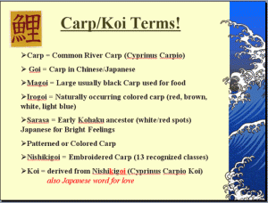 carpterms