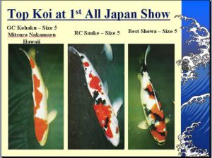 show-3