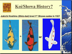 showa1