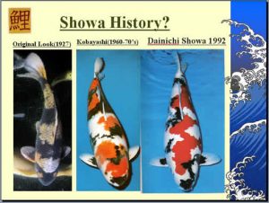 showa2